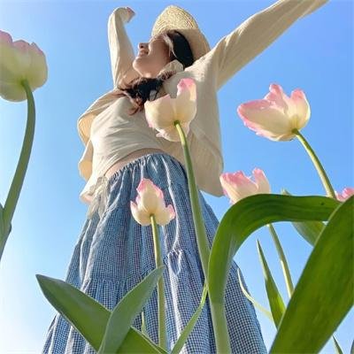 东野圭吾推理系列