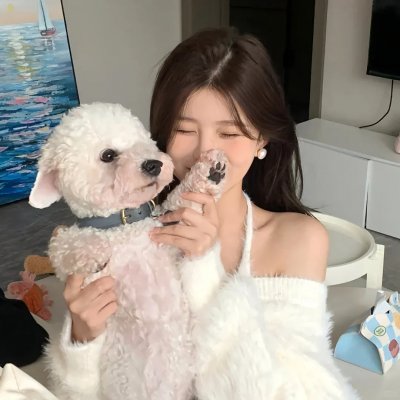 笨鸟满天飞